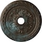 Ekena Millwork Palmetto Medallion (Canopies up to 3 5/8"), 23 5/8"OD x 3 5/8"ID x 1 5/8"P, Bronze Blue Patina CM23PMBBS - alternate 1